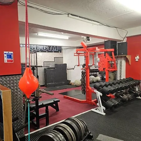 Albert With Free Gym